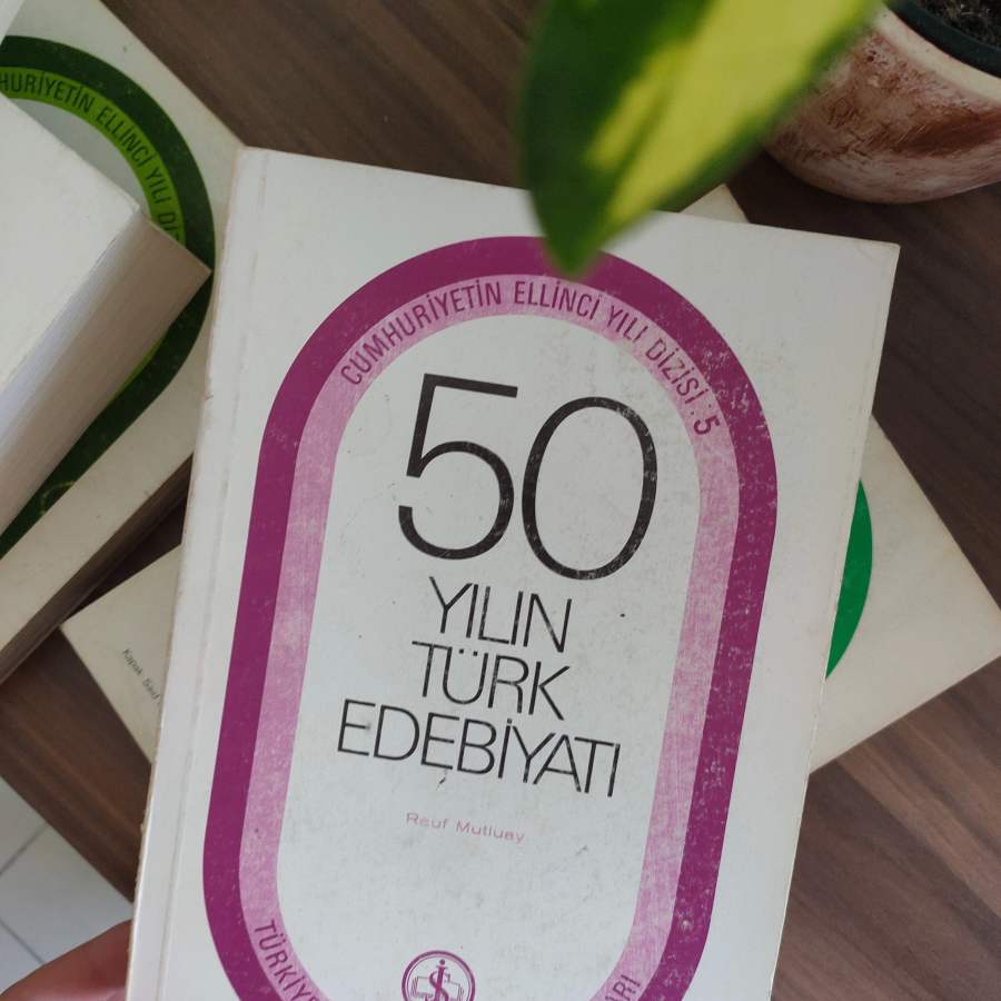 50 Yılın Resim Edebiyat Mizah Tiyatro ve Mimari Serisi 5 Kitap Takım