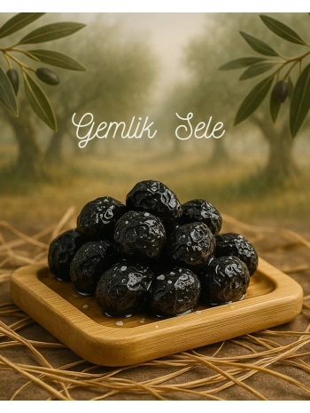 Sele Zeytin