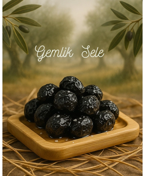Sele Zeytin