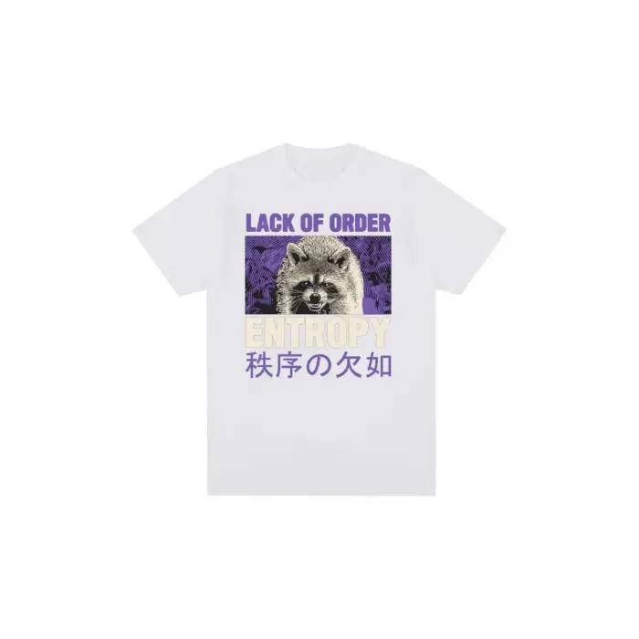 Beyaz 90s Retro Entropy Rakun Komik Meme Tshirt Eksik SiparişKari