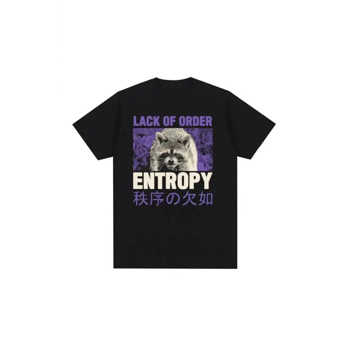 Siyah 90s Retro Entropy Rakun Komik Meme Tshirt Eksik SiparişKari