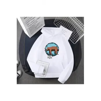 Beyaz Koala bir tembellik üzerimde