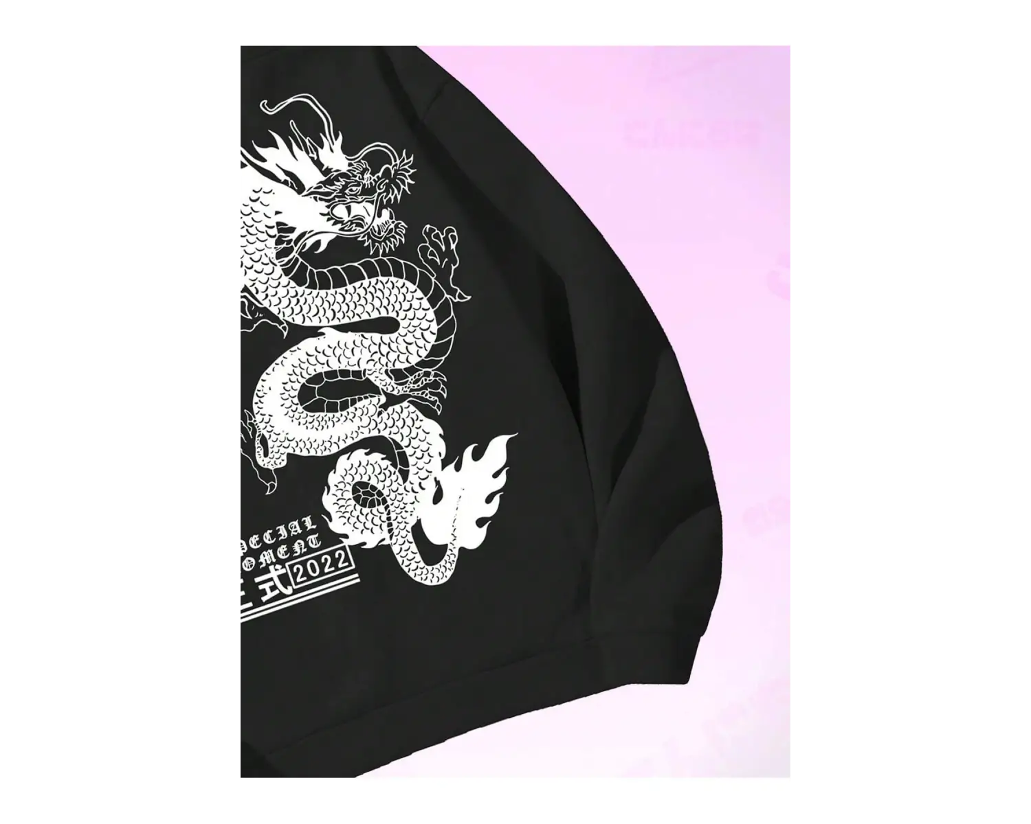Anime Guys Dragon & Letter Graphic Drawstring Lined Hoodie Beyaz