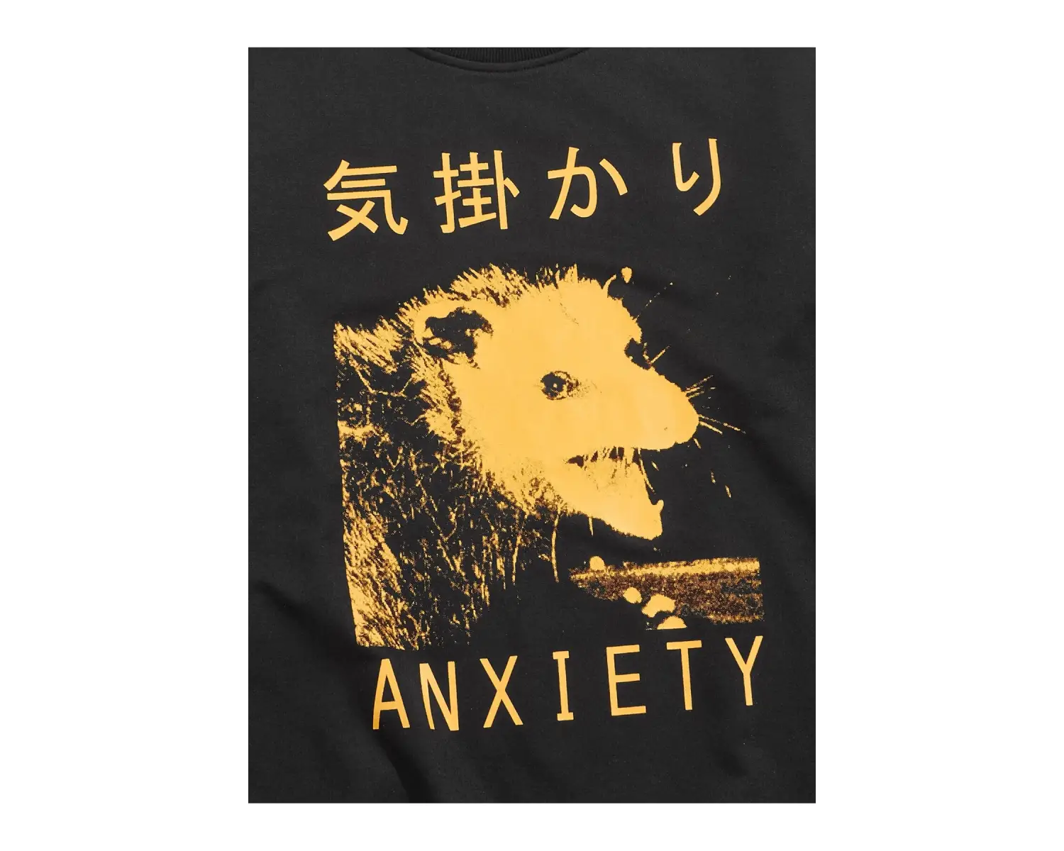 Anime Guys Letter Animal Graphic Sweatshirt Siyah