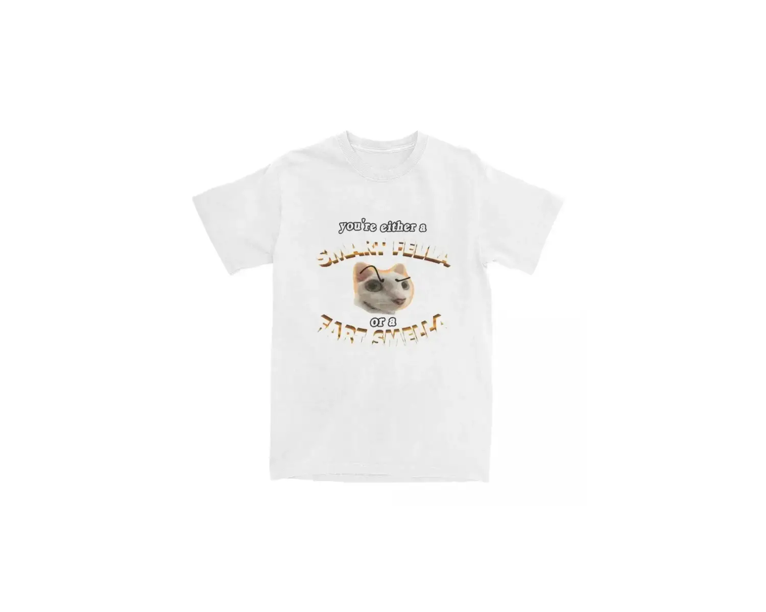 Beyaz Komik Meme Sen Akıllı Bir Fella veya Osuruk Smella Tee Yenilik Y