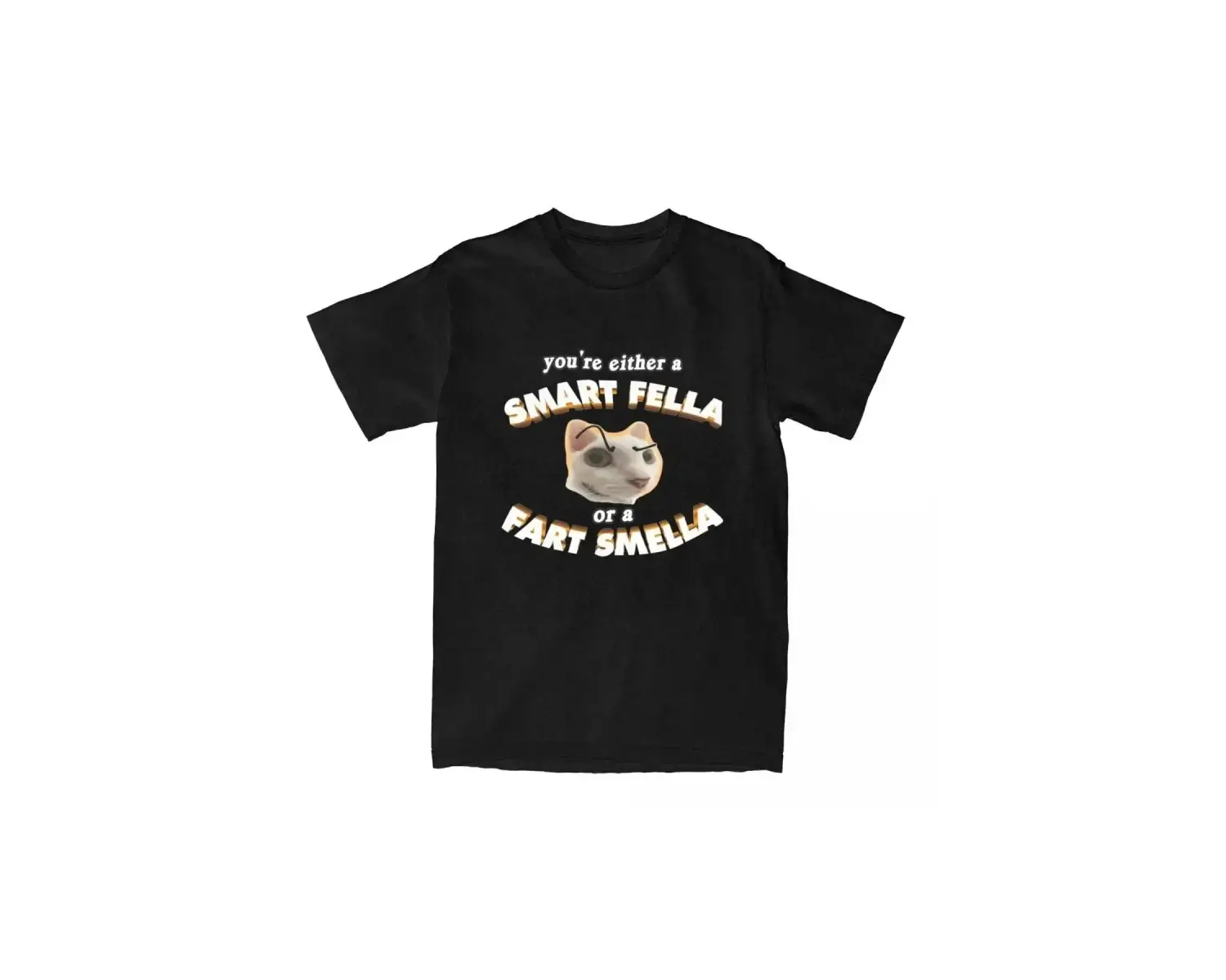 Beyaz Komik Meme Sen Akıllı Bir Fella veya Osuruk Smella Tee Yenilik Y