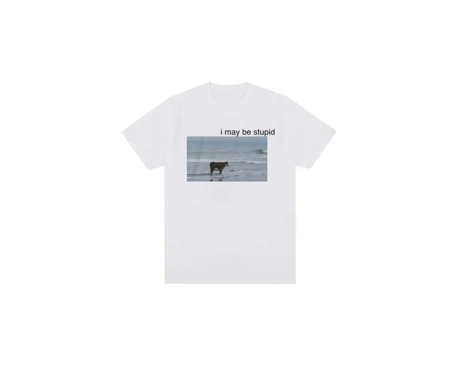 Beyaz Tayland Fil Yaratıcılık Baskı Yaz Tees Marka Üstleri Grafik