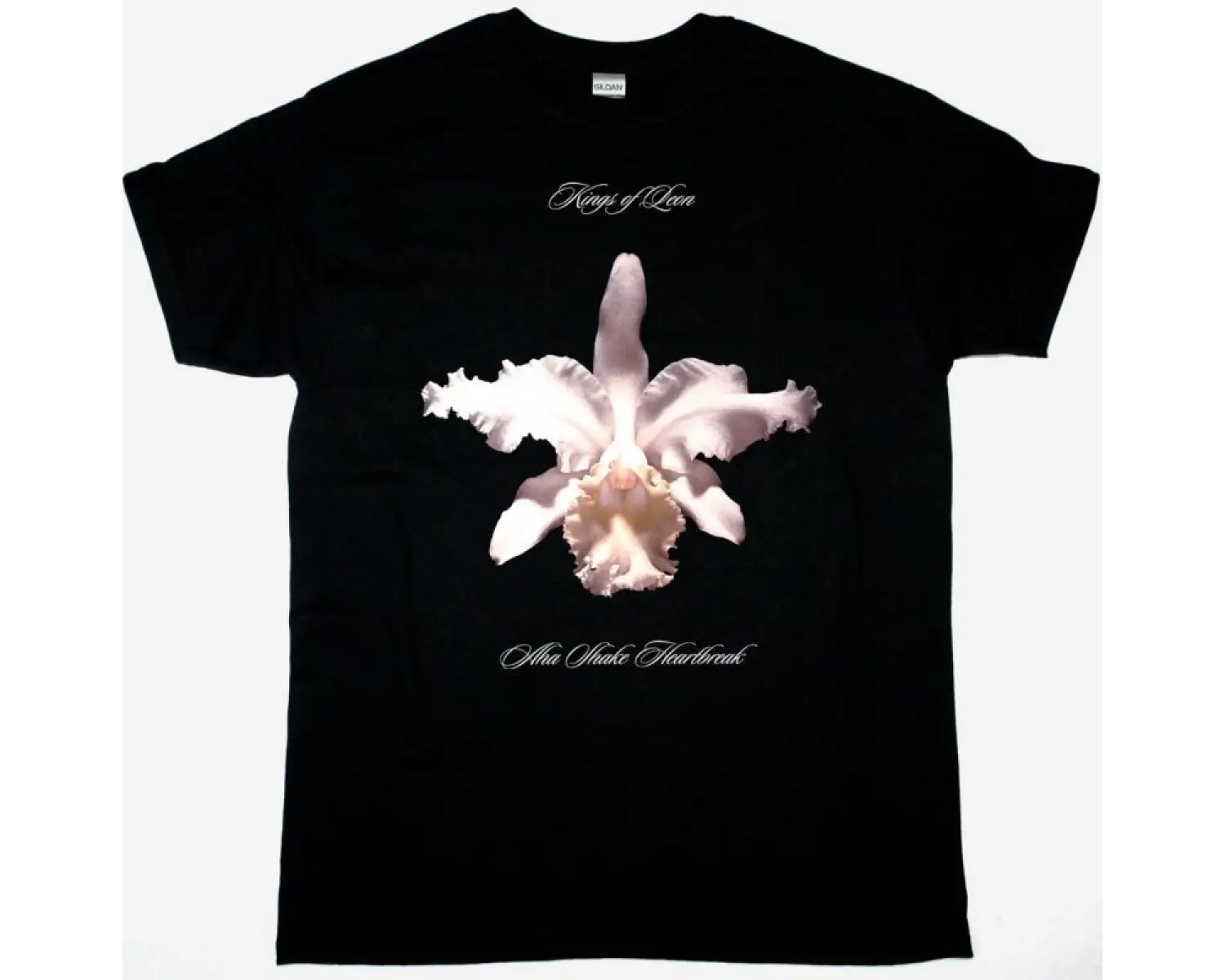 DISCHARGE PROTECT AND SURVIVE NEW BLACK T SHIRT ÖN BASKILI