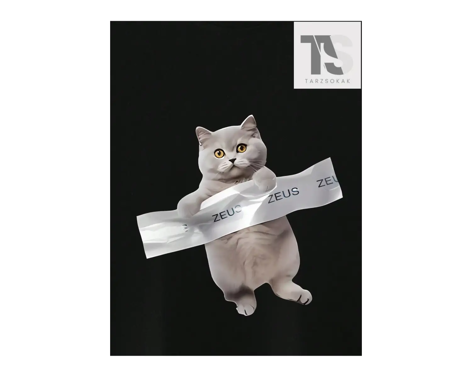 Erkek Kedi ve Mektup Baskılı Tişört