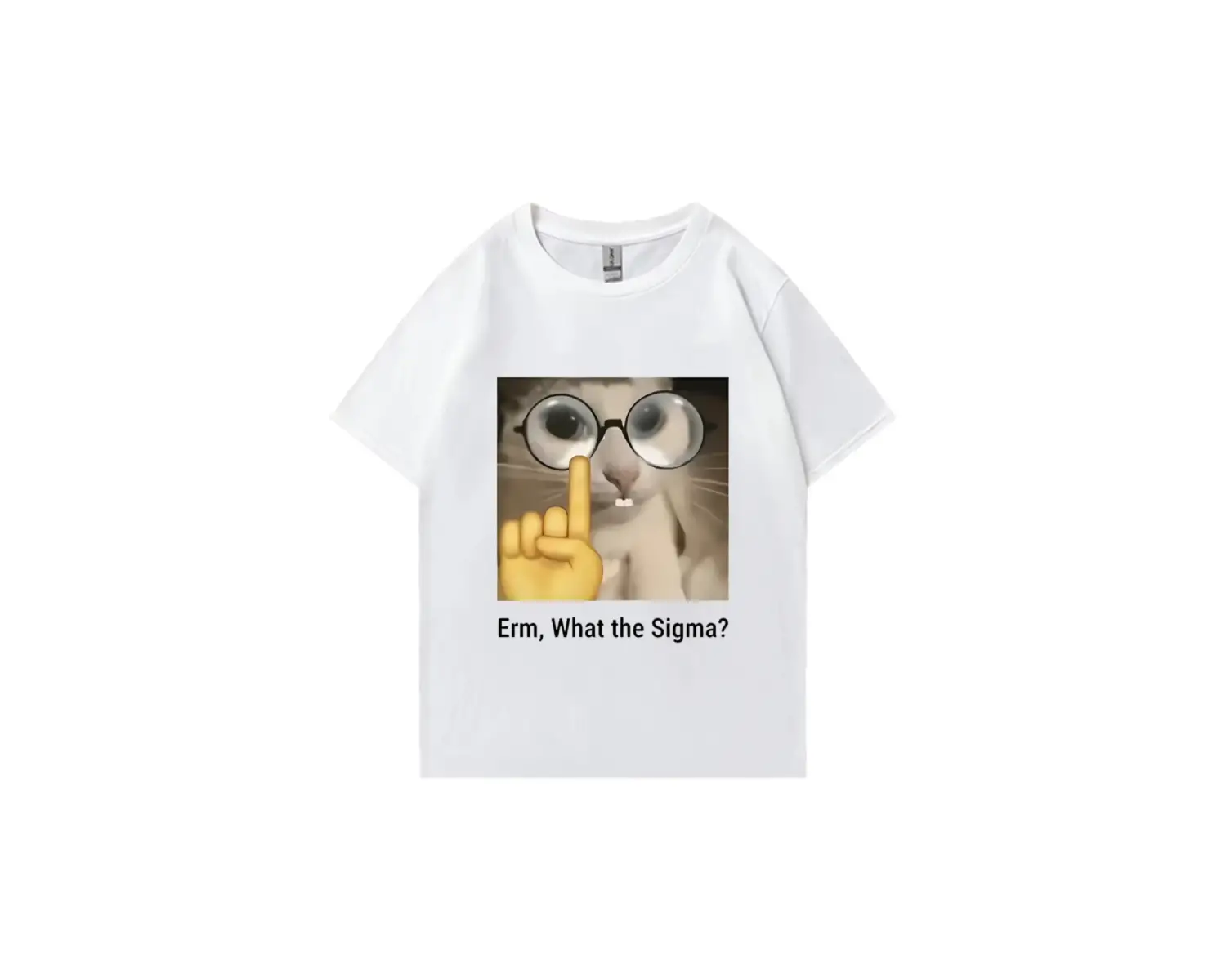Erm, What The Sigma? Meme Funny T-Shirts Silly Cat Humor Print T Shirt Men Women Cute vintage