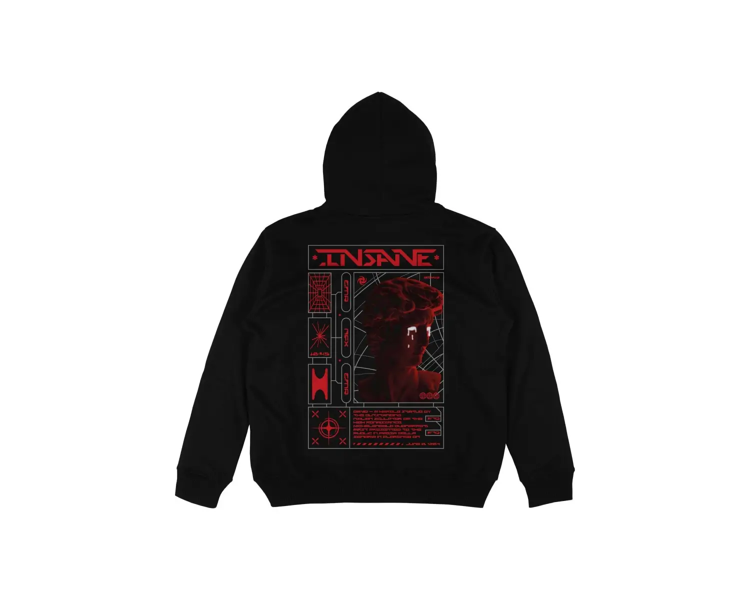 İnsane Siyah Oversize Unisex Kapüşonlu Sweatshirt Hoodie