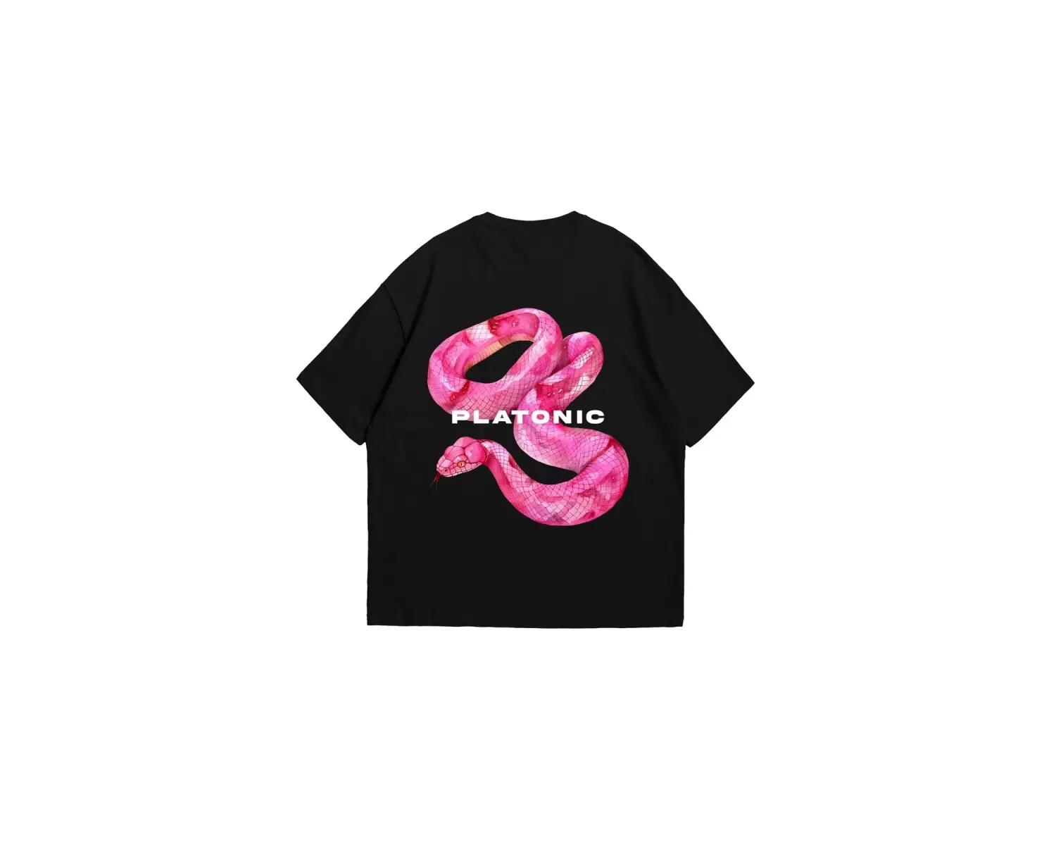 Platonic Baskılı Oversize Unisex Beyaz