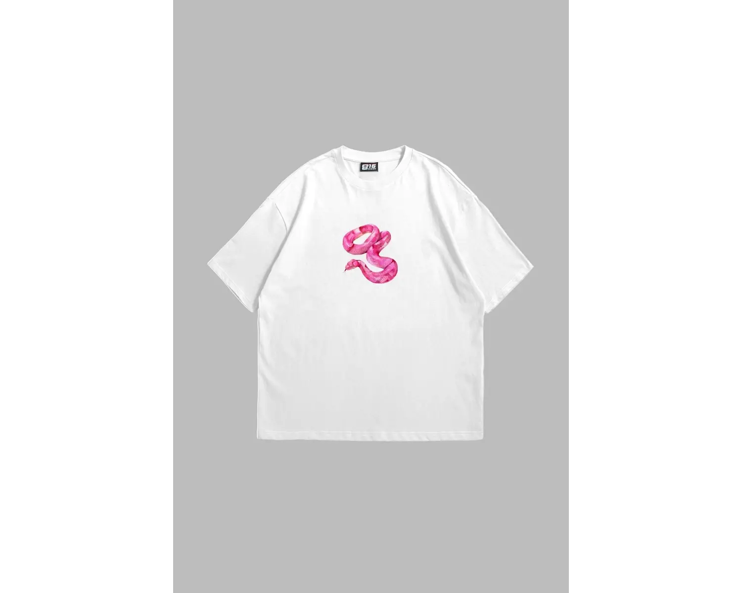 Platonic Baskılı Oversize Unisex Beyaz