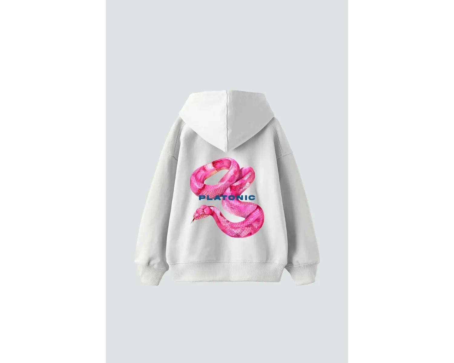 Platonic Baskılı Oversize Unisex Premium Beyaz