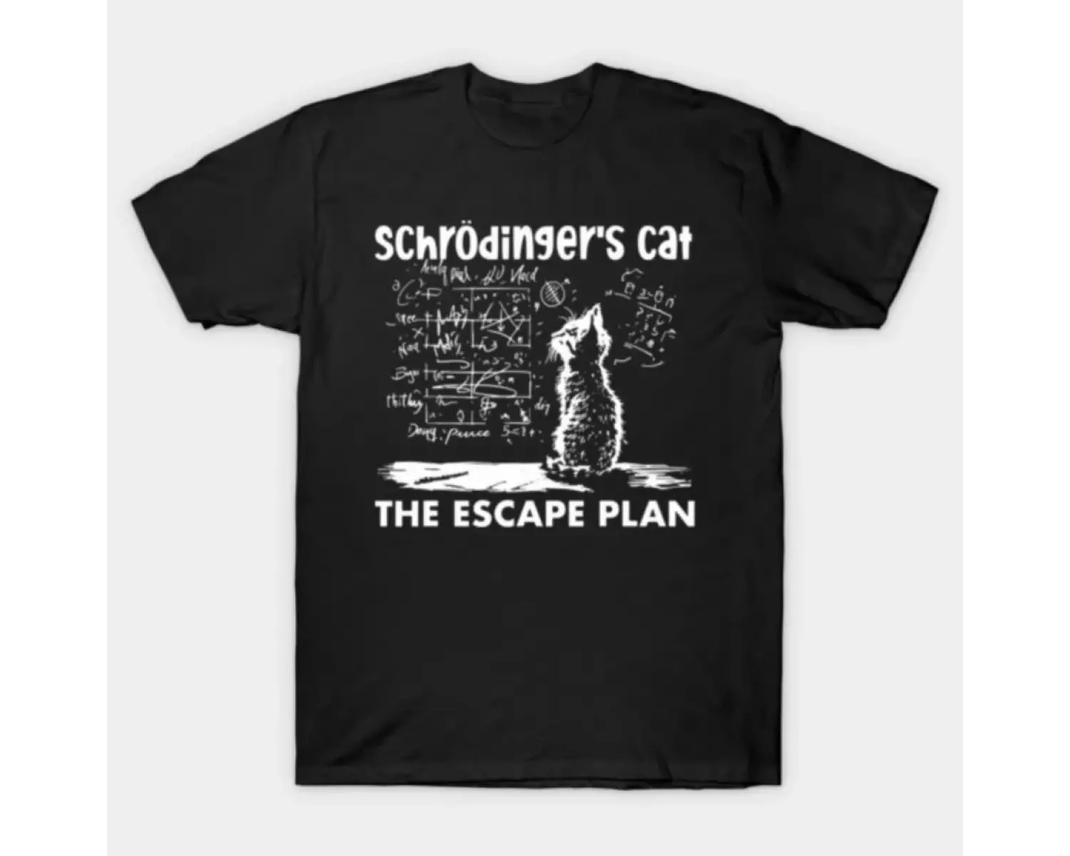 Schrodingerin Kedisi Kaçış Planı Kuantum Fizik Öğretmeni Erkekler Kadınlar Için T-shirt % 10