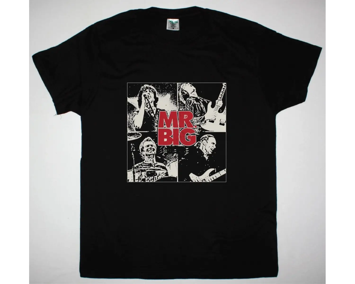 SKINDRED LION NEW BLACKT-SHIRT ÖN BASKILI