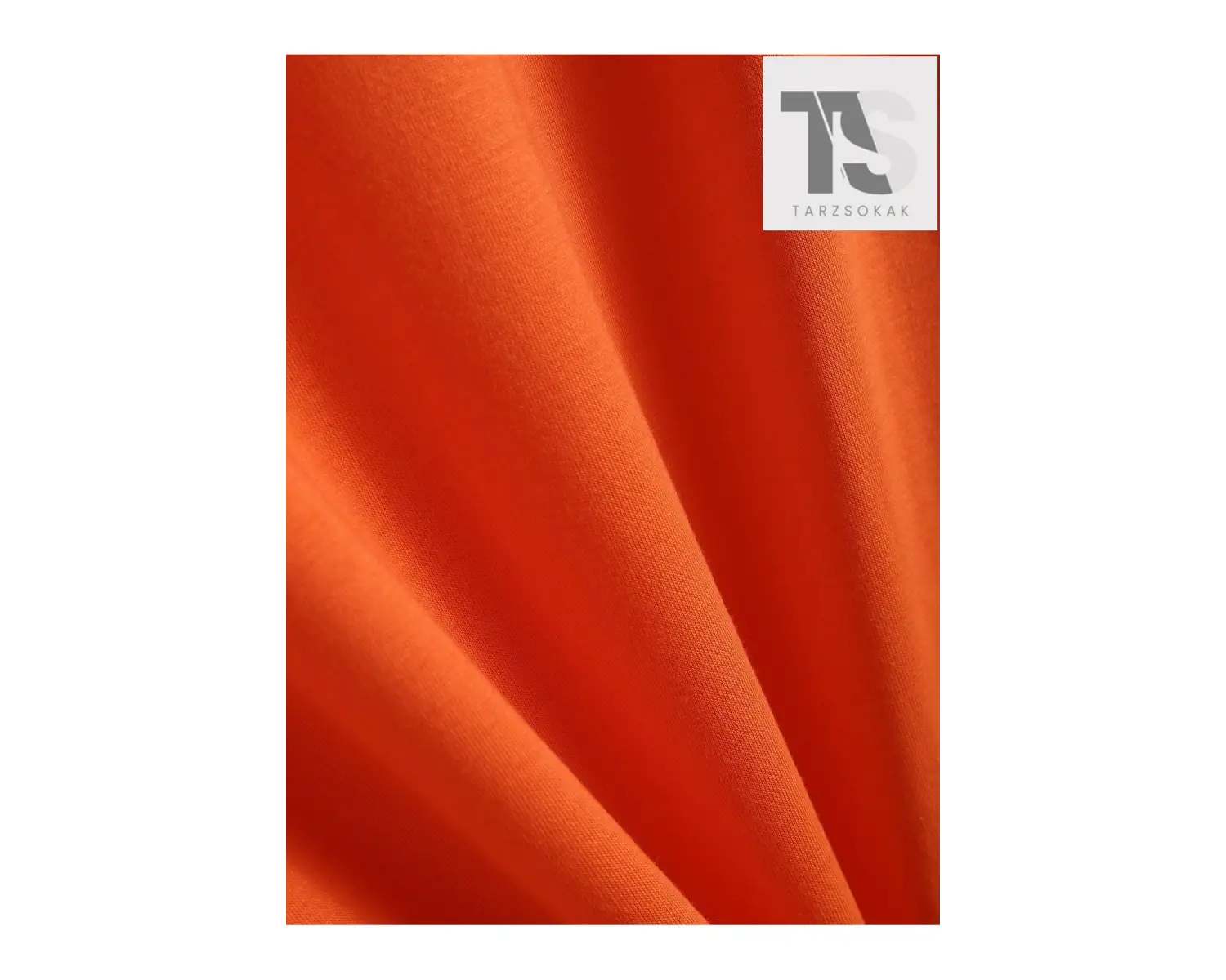 Street Life Erkek Sloganlı ve Kelebek Baskılı Tişört