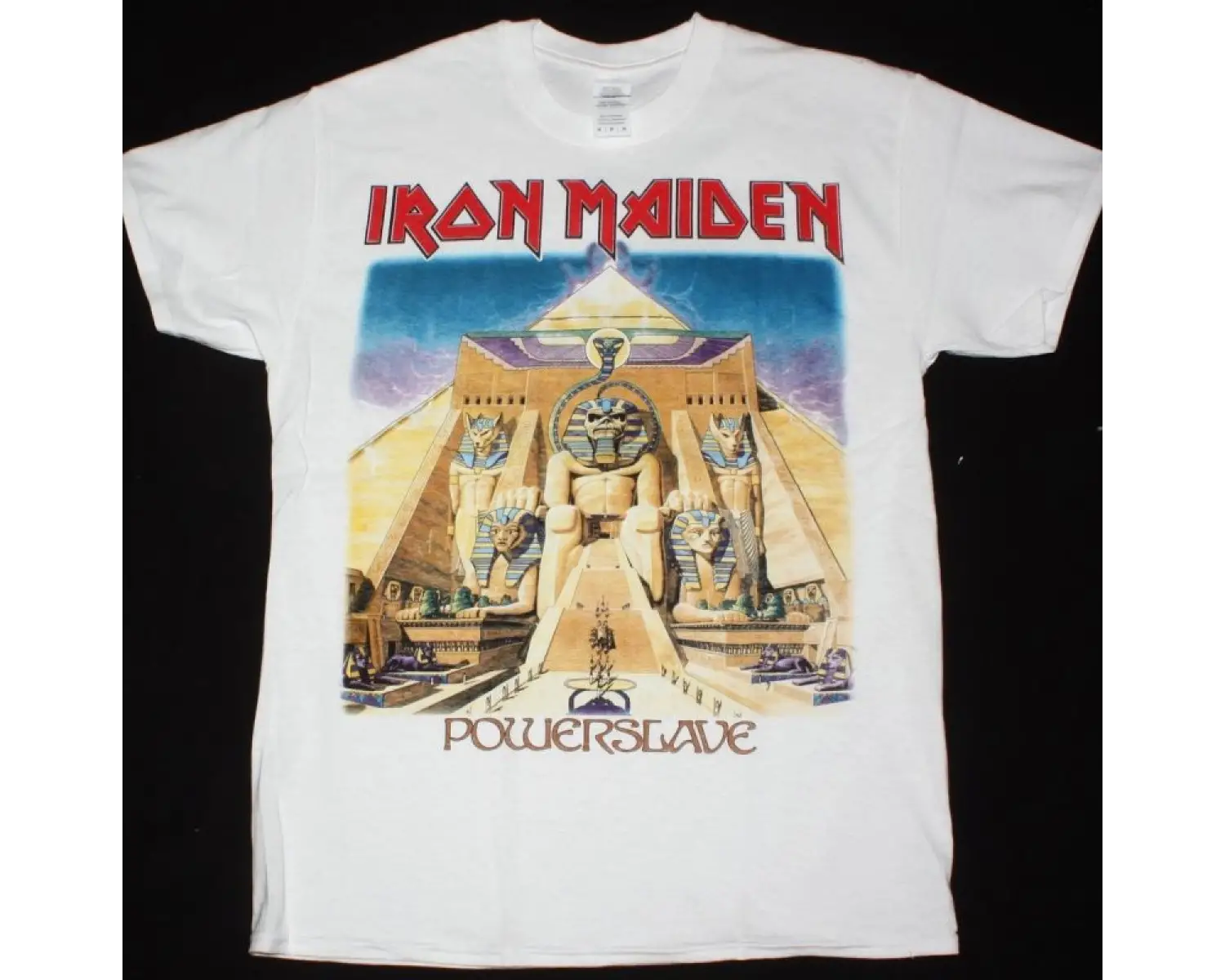 SUICIDAL TENDENCIES SUICIDAL FOR LIFE NEW BLACK T-SHIRT ÖN VE ARAKA BASKILI
