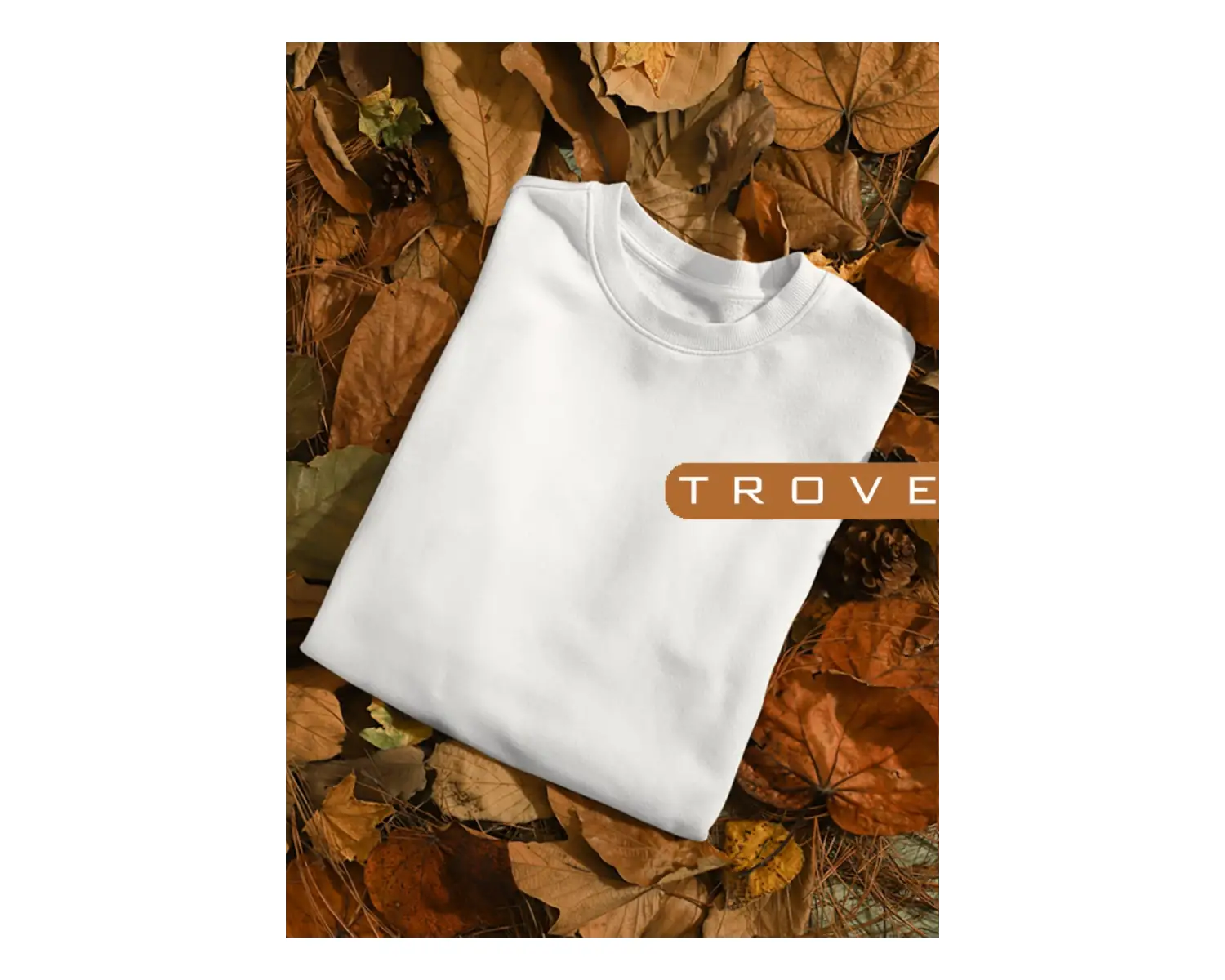 Unısex Kadın Erkek Basic Düz Standart Kalıp Bisiklet Yaka Pamuk Sweatshirt Beyaz