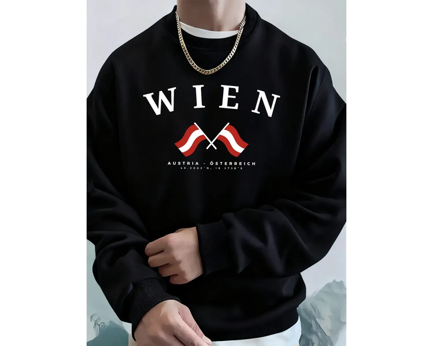 Viyana Avusturya Bayrağı Baskılı Erkek Sweatshirtleri Kışlık Bisiklet Yaka Kapüşonlu Sokak Gi