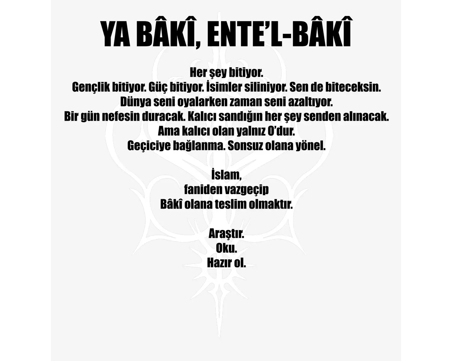 YA BÂKÎ, ENTE’L BÂKÎ Özel Tasarım Tişört satın almadan açıklama ve görsel açıklamayı OKUYUN!