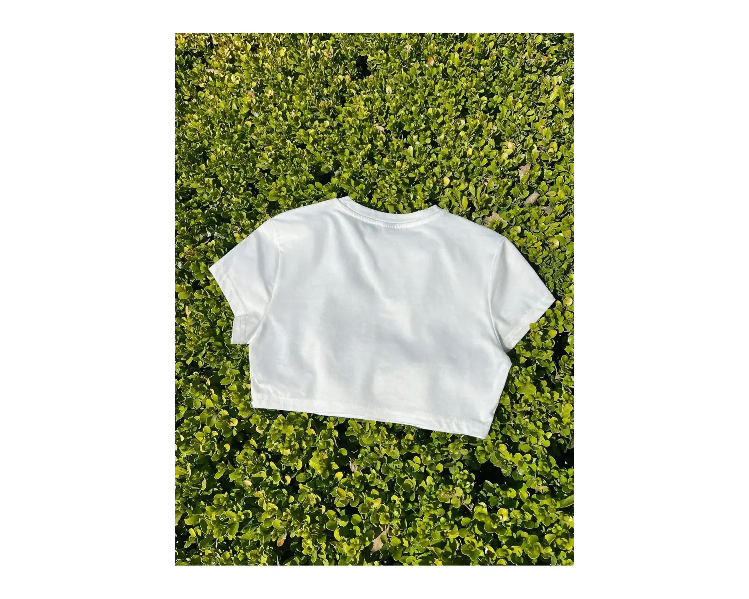 Yıldız Grafikli Yuvarlak Yaka Kısa Kollu Crop