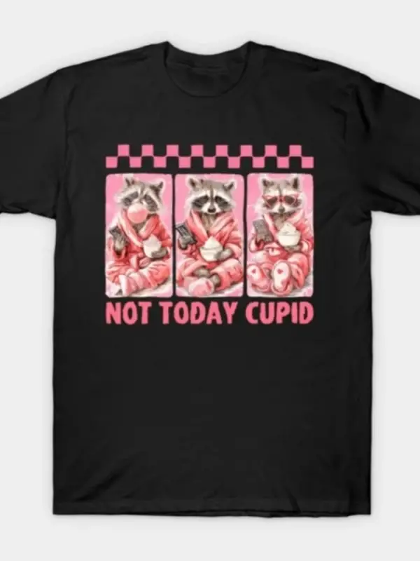 Bugün Değil Cupid Snarky Raccoon Komik Sevgililer Günü Tasarım T-shirt Erkekler Kadınlar Için