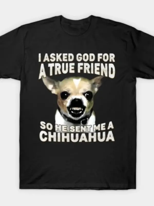 Tanrıya Gerçek Bir Arkadaş İçin Dilektim Chihuahua Komik Tişört Erkekler Kadınlar İçin %100