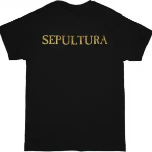 AEROSMITH AERO FORCE ONE NEW BLACK TSHIRT ÖN VE ARAKA BASKILI