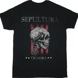 ALESTORM YOUR PIRATE SHIP CAN EAT A BAG OF DICKS NEW BLACK T-SHIRT ÖN BASKILI