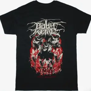 ALICE IN CHAINS DIRT NEW BLACK T SHIRT ÖN VE ARAKA BASKILI