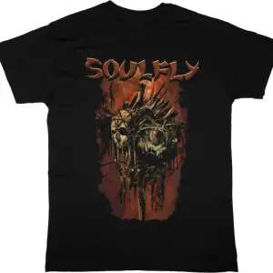 AMARANTHE INSATIABLE NEW BLACK T-SHIRT ÖN VE ARAKA BASKILI