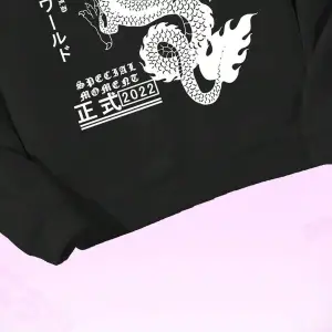 Anime Guys Dragon & Letter Graphic Drawstring Lined Hoodie Beyaz