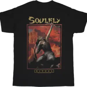 AVANTASIA FLEUR DE LYS NEW BLACK T-SHIRT ÖN VE ARAKA BASKILI