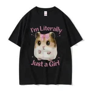 Beyaz Ben kelimenin tam anlamıyla sadece bir sevimli üzgün hamster komik Meme kad