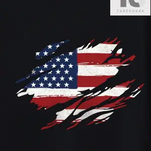 Erkek Amerikan Bayrağı Baskılı Tişört