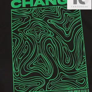 Erkek Harfli ve Grafik Baskılı Tişört