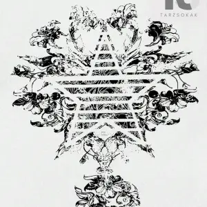 Grunge Punk Erkek Yıldız Baskılı Tişört