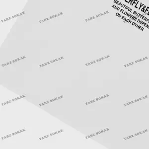 KOD Trend Erkek Kelebek & Çiçek Grafikli Tişört