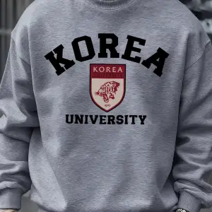 Kore Üniversitesi Desen Erkekler Kazak Sonbahar Hip Hop Kazaklar Gevşek Moda Unisex Tişörtü Y