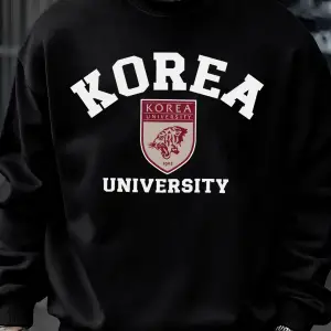 Kore Üniversitesi Desen Erkekler Kazak Sonbahar Hip Hop Kazaklar Gevşek Moda Unisex Tişörtü Y