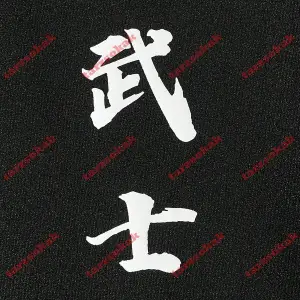 Model 3295 Erkek Yazlık Yuvarlak Yaka Kısa Kollu Günlük Tişört, Yaz