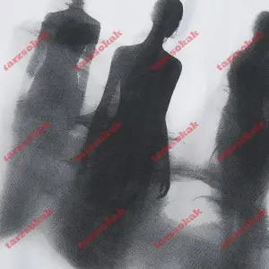 Model 3713 Erkek Yazlık Yuvarlak Yaka Kısa Kollu Günlük Tişört, Yaz