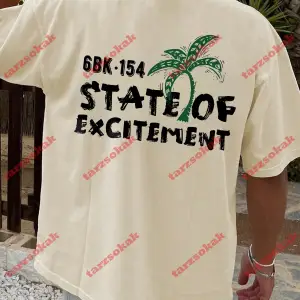 Model 3732 Erkek Yazlık Yuvarlak Yaka Kısa Kollu Günlük Tişört, Yaz