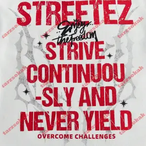 Model 3840 Erkek Yazlık Yuvarlak Yaka Kısa Kollu Günlük Tişört, Yaz