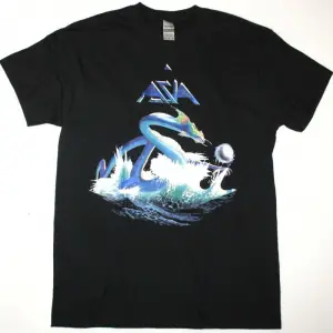 MOTLEY CRUE BAND VINTAGE SHIRT NEW BLACK T-SHIRT ÖN BASKILI