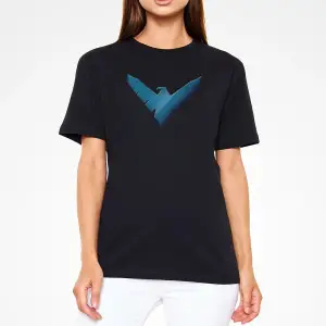Nightwing Siyah Unisex Tişört T-shirt