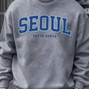 Seul Güney Kore Baskı Erkek Kazaklar Polar Hip Hop Kazak Günlük Giysiler Sonbahar Bisiklet Ya