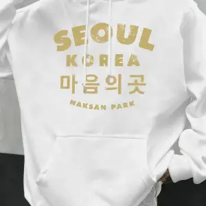 Seul Kore Mektup Baskılar Erkekler Hoody Sonbahar Polar Kapüşonlular Hip Hop Büyük Boy Sokak