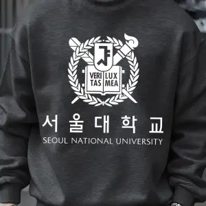 Seul Ulusal Üniversitesi Desen Erkekler Kazak Polar Sonbahar Sokak Şıklığı Bisiklet Yaka Büyü